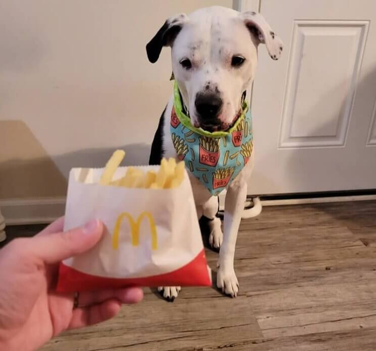 We're Not Loving The Chemicals In Fries