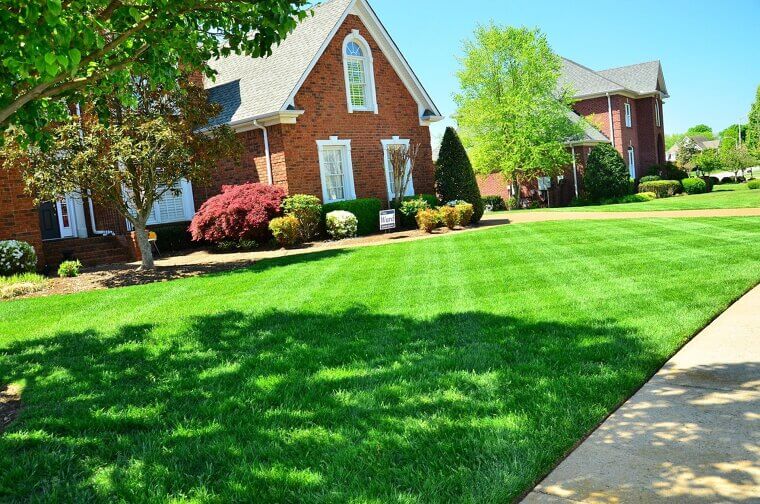 Perfect Lawns: A Dream or a Drain?