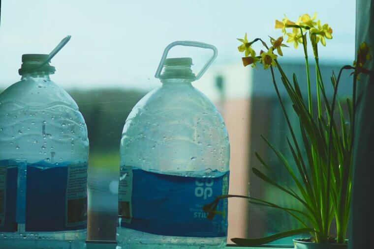 Plastic Water Bottles