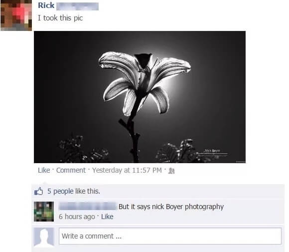 A Not So Talented Photographer