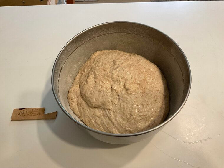 Letting Dough Rise in the Sunniest Window