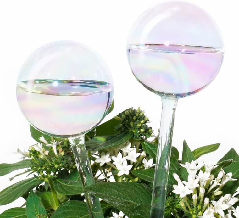 Transform Your Plants With Rainbow Glass Water Spikes