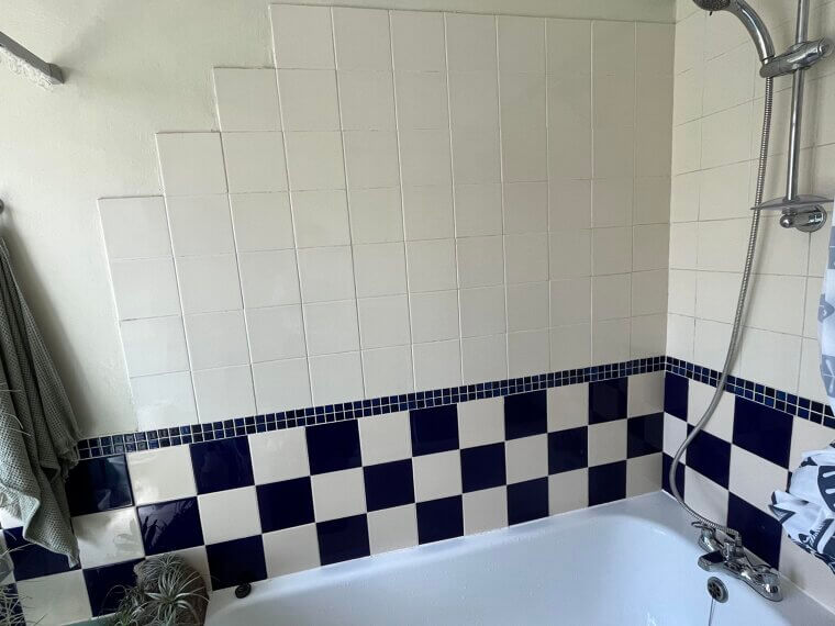 Border Tiles in the Shower: The Dolphin or Leaf Accents