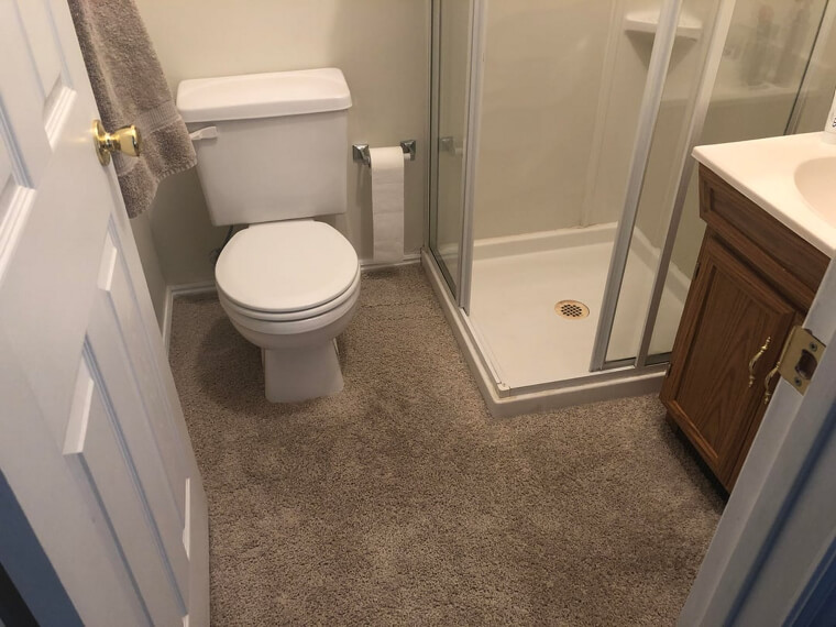 Carpeted Bathrooms: The Ultimate Hygiene Nightmare