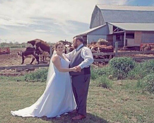 Ces vaches ont besoin d'une chambre