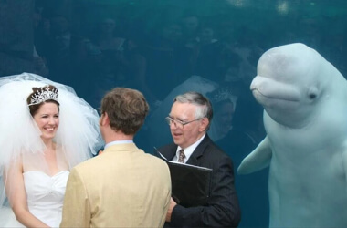 These Priceless Wedding Photobombs Are Funnier Than The Staged Ones