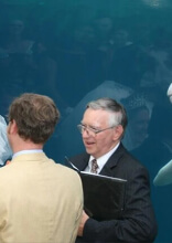 Você pode ver as fotos de casamento mais engraçadas do que as encenadas