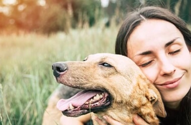 Basic Skin Care Tips For Your Dog