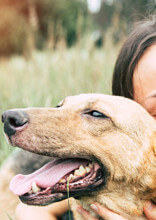 Basic Skin Care Tips For Your Dog