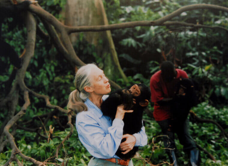 Jane Goodall Passed at Age 91
