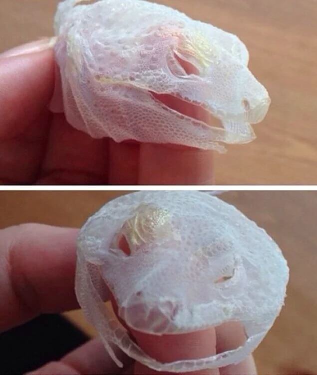 예전에 누구였는지 알 수 있는 껍데기일 뿐입니다