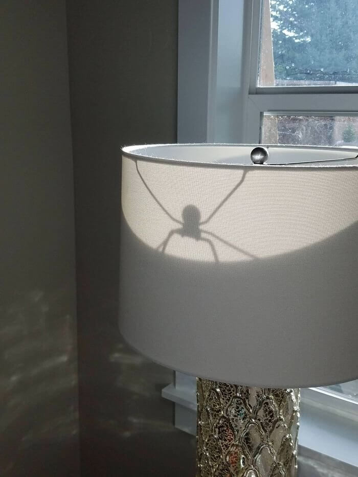 당신의 램프 안에 있는 거미 그림자