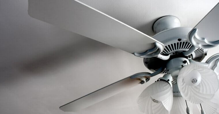 Ceiling Fans Everywhere