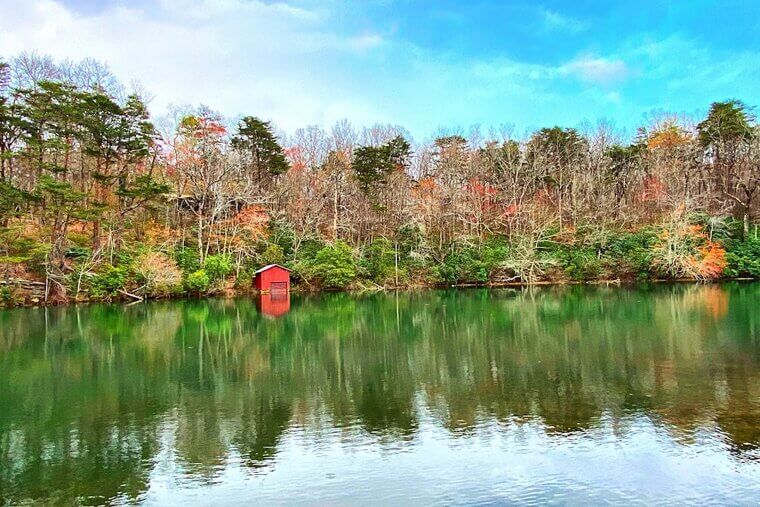 Alabama – 72.0 Years