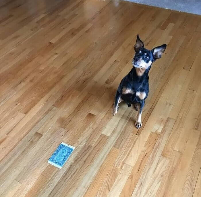 When You Order the Wrong Thing Online