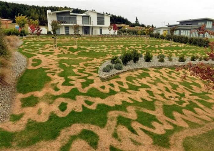 Mixing Up Weed Killer And Fertilizer