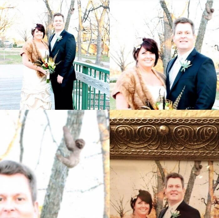 They Let Their Child Edit Their Wedding Photos