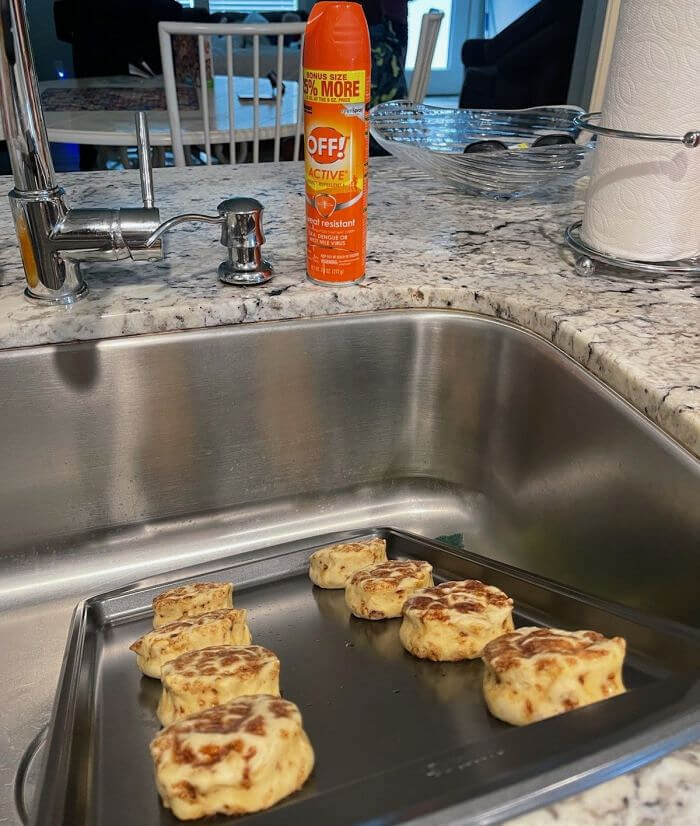 Coating Cinnamon Rolls In Bug Spray