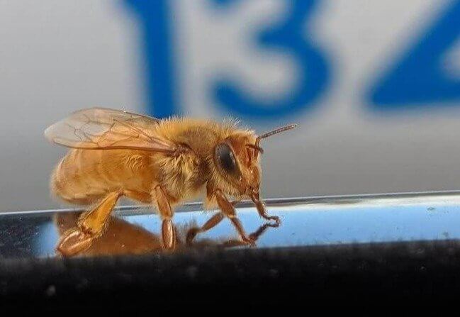 Blondes Have More Fun