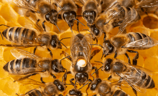 These People Captured Photos of Things We Hardly Ever See in Real Life