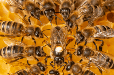 These People Captured Photos of Things We Hardly Ever See in Real Life