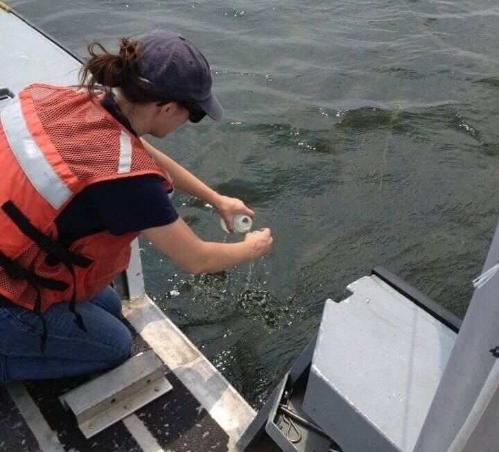 Scientists Can Be Warned Of An Ecosystem’s Collapse By Ecosystem Canaries