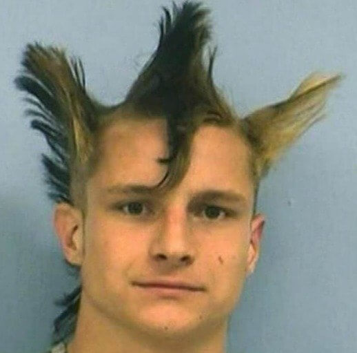 Bring Back the Triceratops