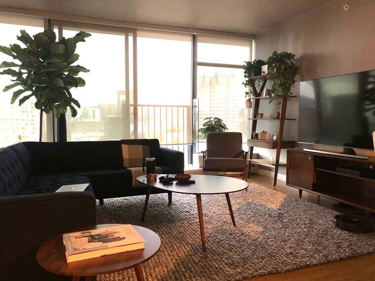 Mid-Century Modern Furniture