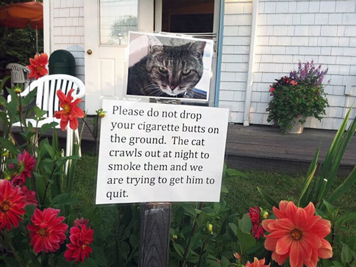 Don't Get the Neighbor's Cat Addicted to Smoking