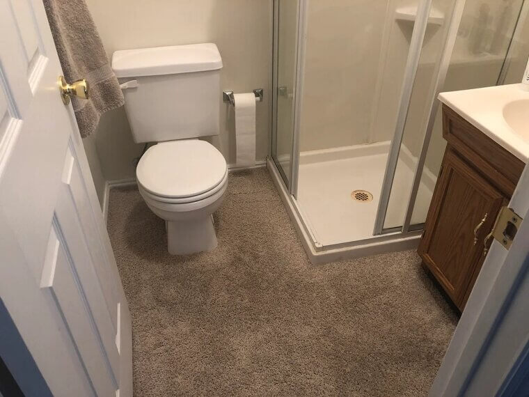 Carpeted Bathroom