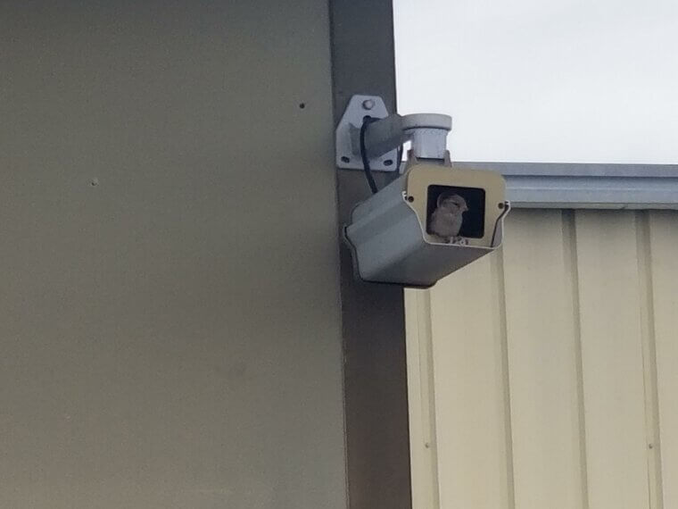 Fake It With a Decoy Camera