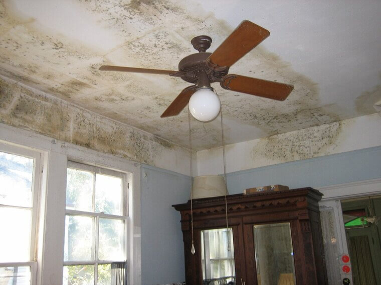 Ceiling Stains