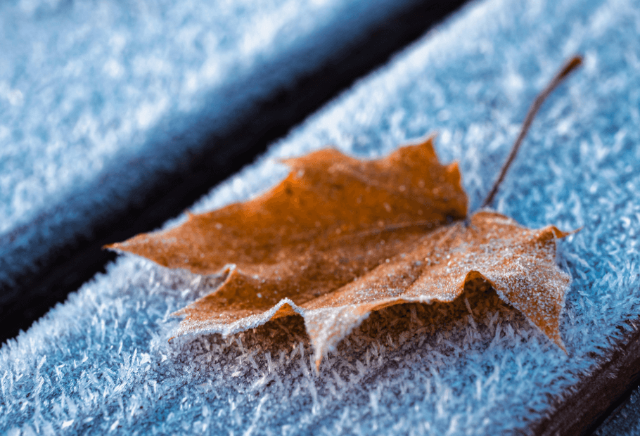 How You Can Use Outdoor Textures to Add Warmth