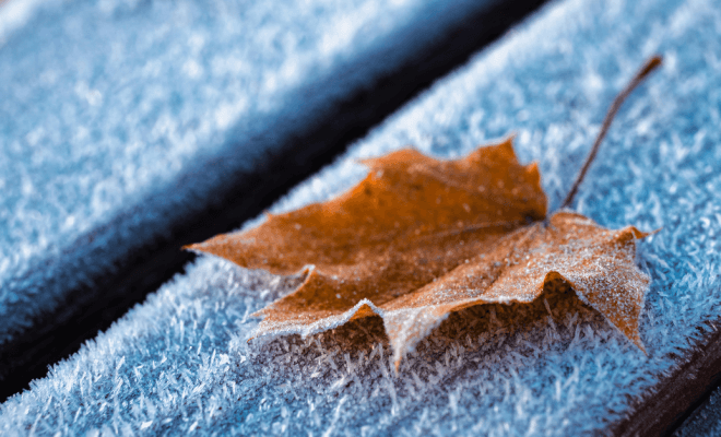 How You Can Use Outdoor Textures to Add Warmth