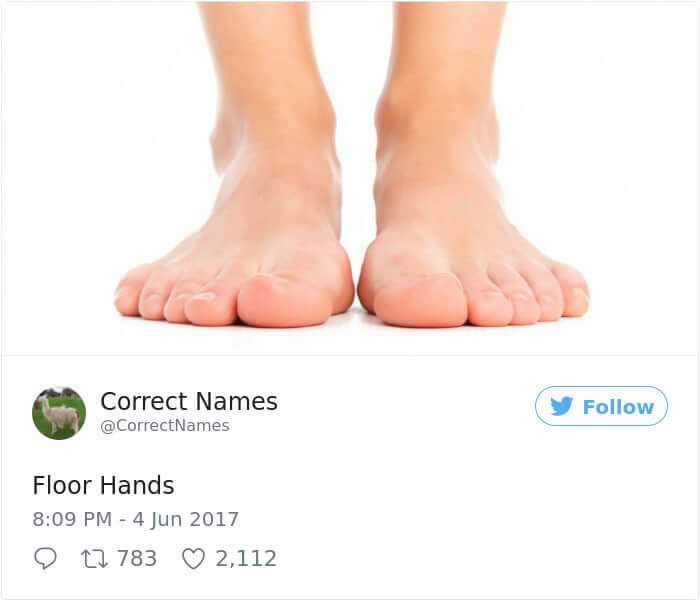 Floor Hands