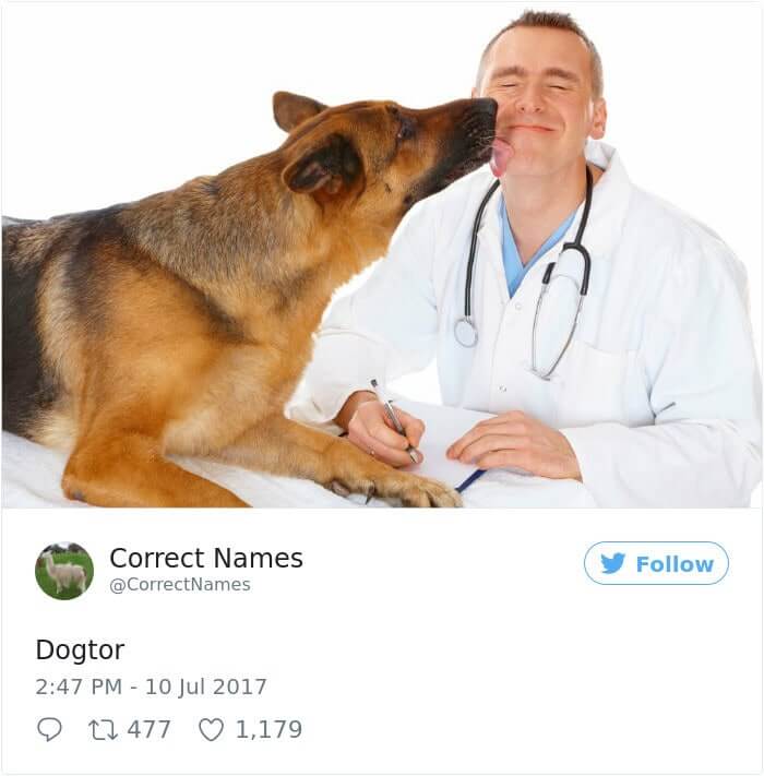 Dogtor