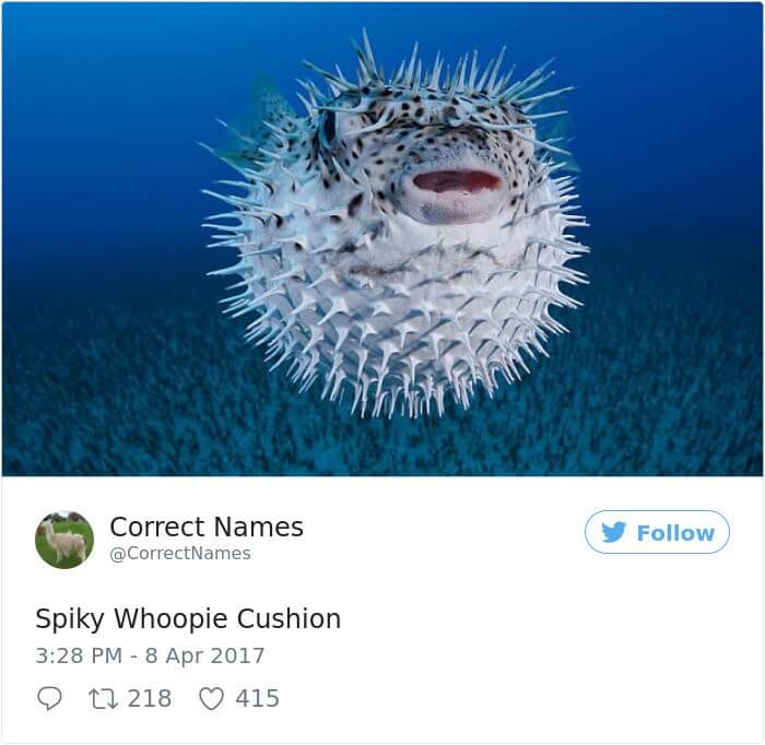 Spikey Whoopie Cushion