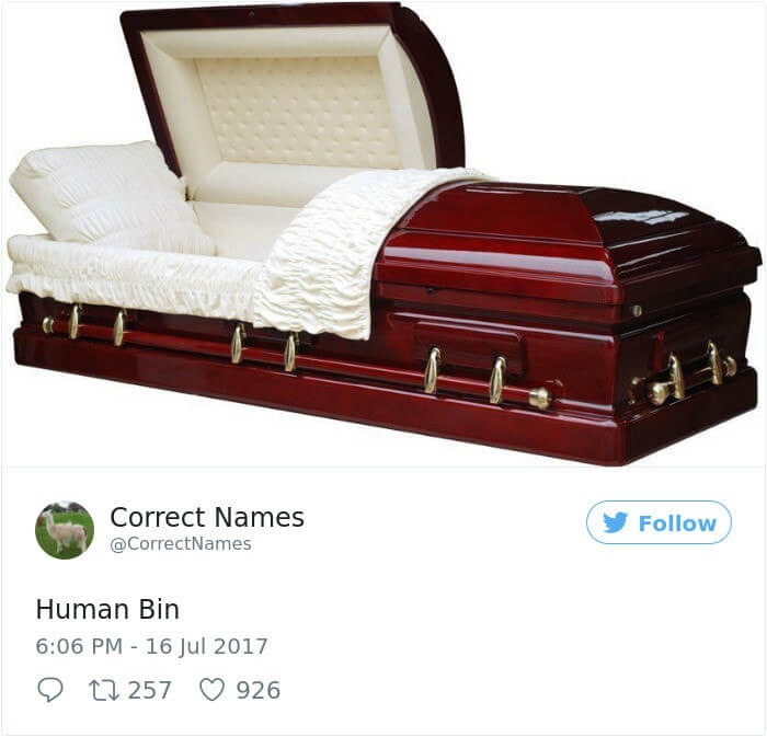 Human Bin