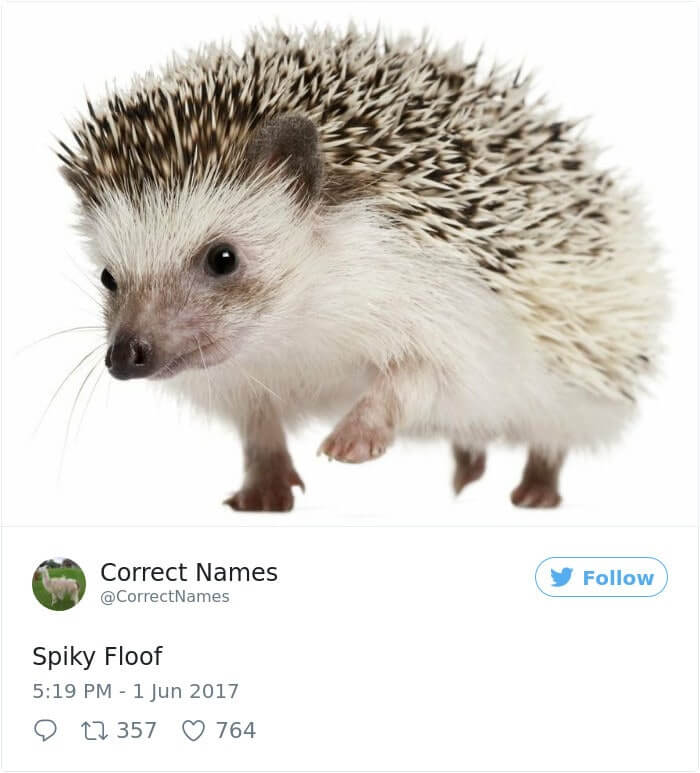 Spiky Floof