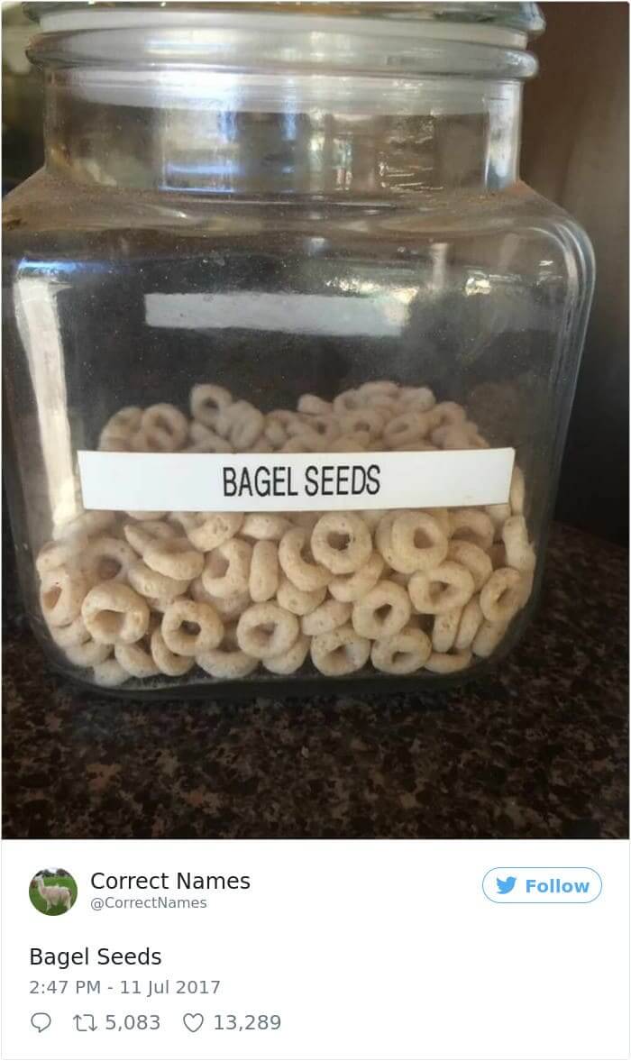 Bagel Seeds