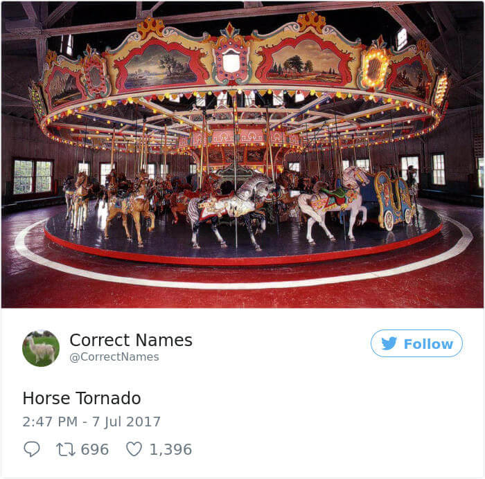 Horse Tornado