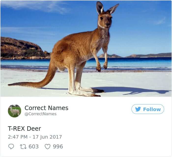 T-rex Deer