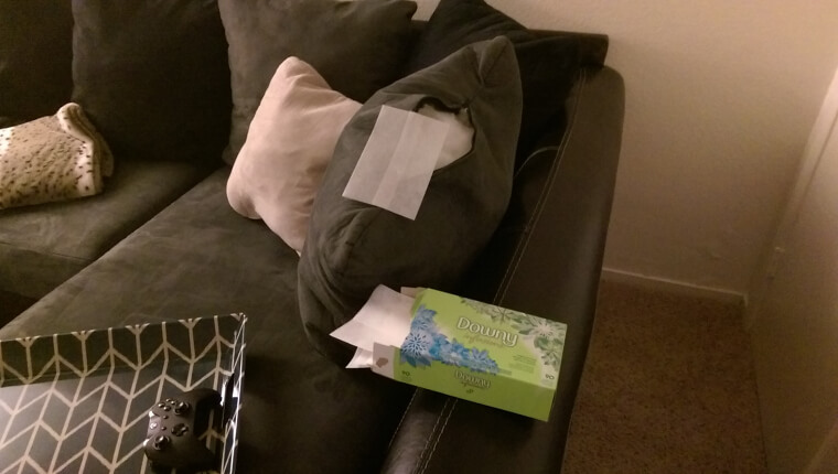 Keep Linens and Cushions Fresh With a Dryer Sheet