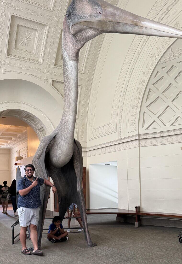 La criatura voladora m谩s grande junto al ser humano