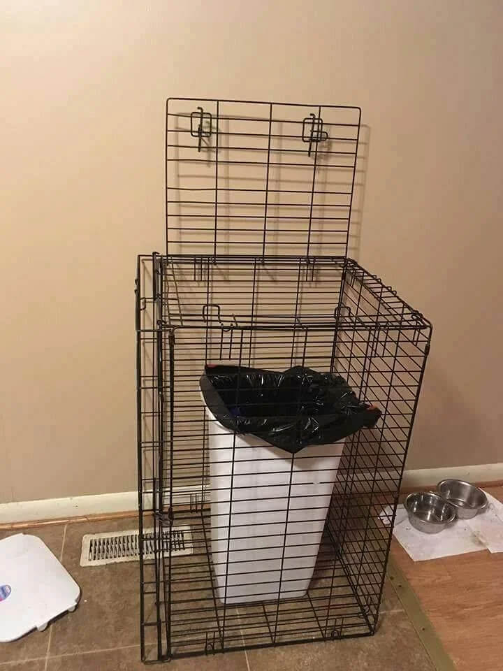 Put Your Trash Can In A Crate To Keep Dogs Out