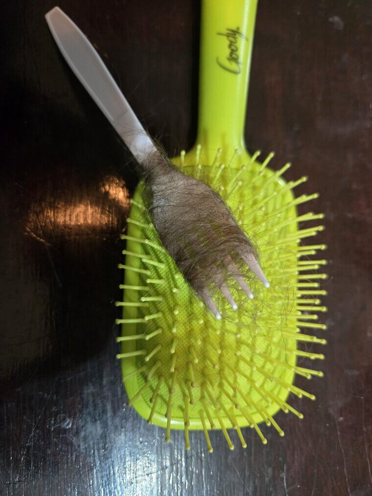Use A Fork To Easily Clean Hair From Brushes
