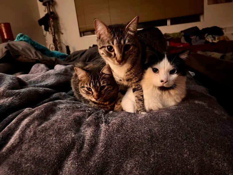 You Value Personal Space