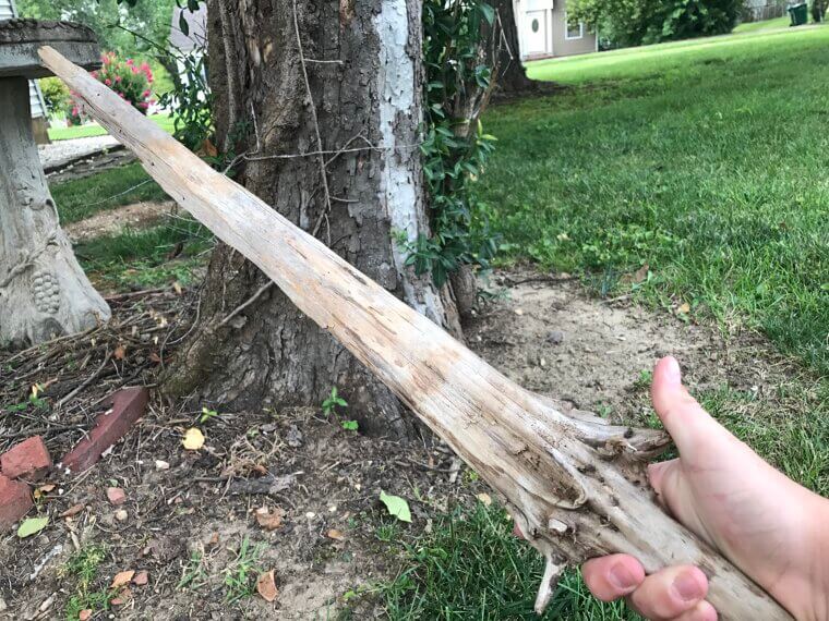 You Learn to Make Do With What You Have