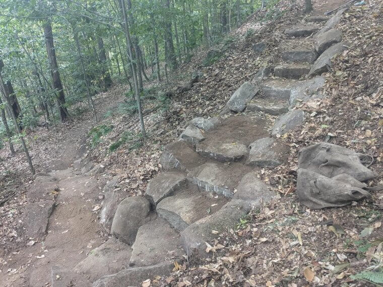 You Learn That Nature Is a Playground