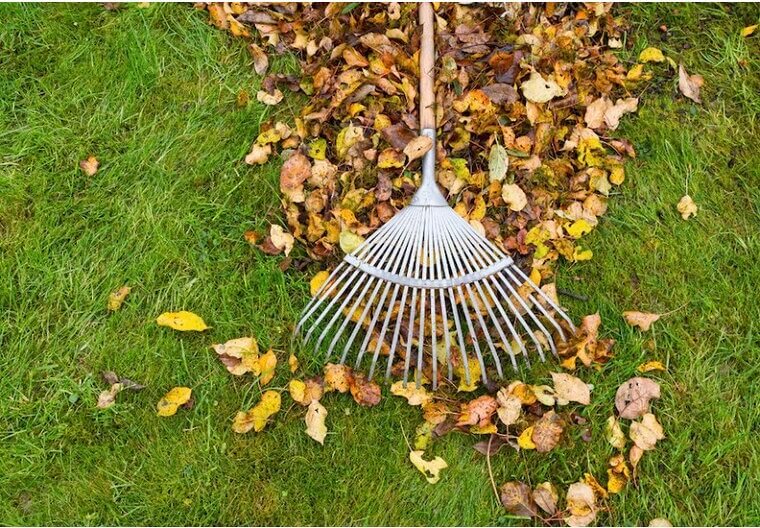 Chores Are Part of Life